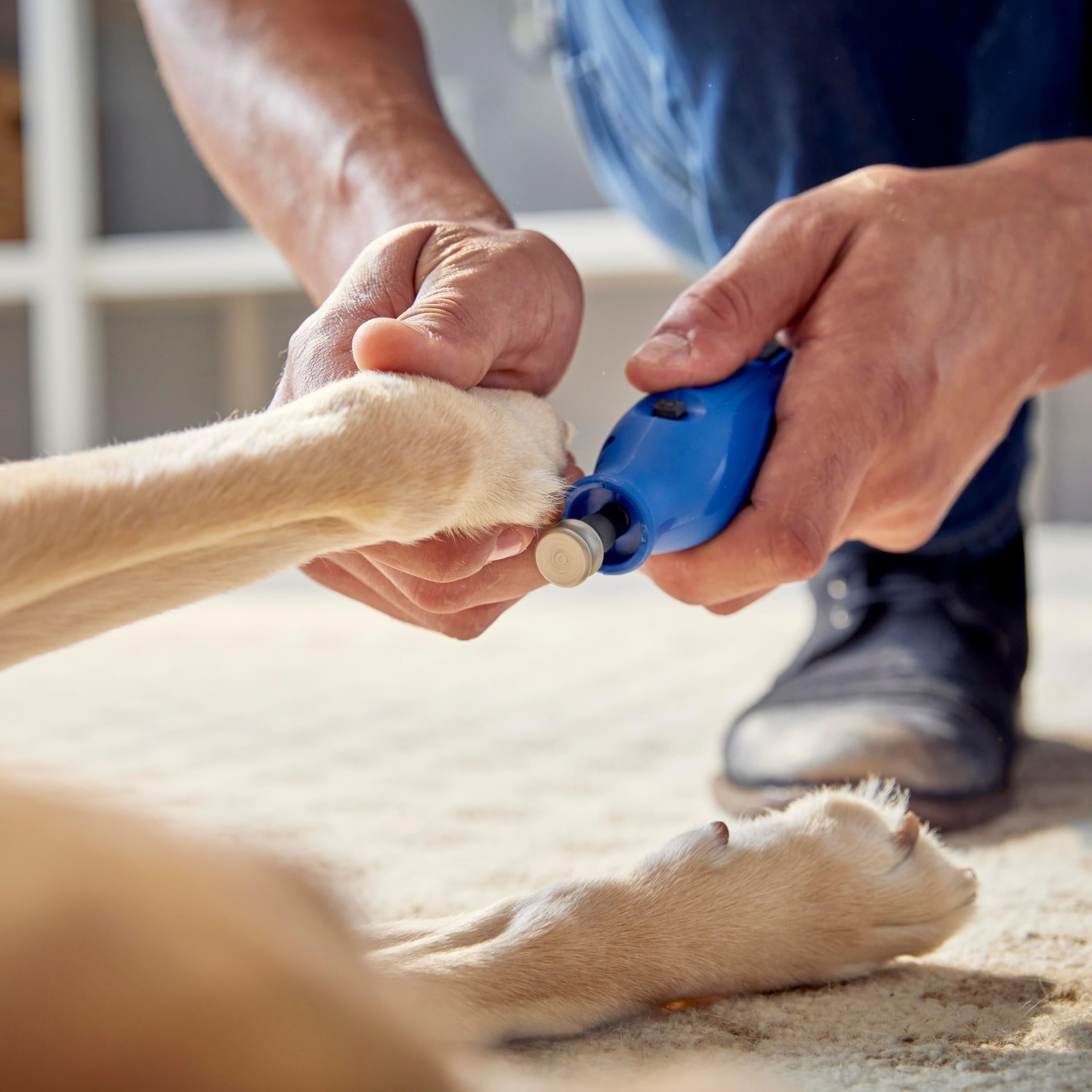 Dremel 416HP Diamond-Coated Rotary Nail Grinder Bit - Ideal for Dog Nail Grooming, Gentle with Precise Control - Image 4