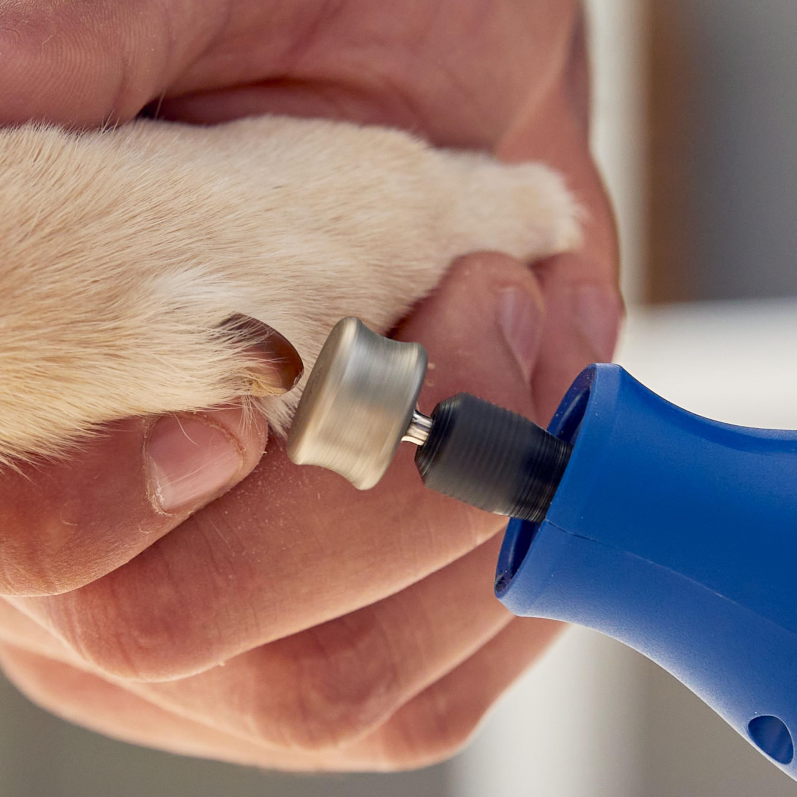 Dremel 416HP Diamond-Coated Rotary Nail Grinder Bit - Ideal for Dog Nail Grooming, Gentle with Precise Control - Image 5